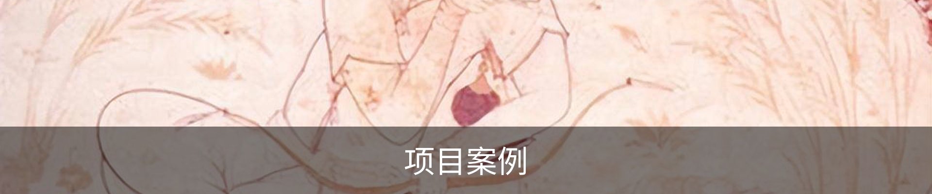 项目案例